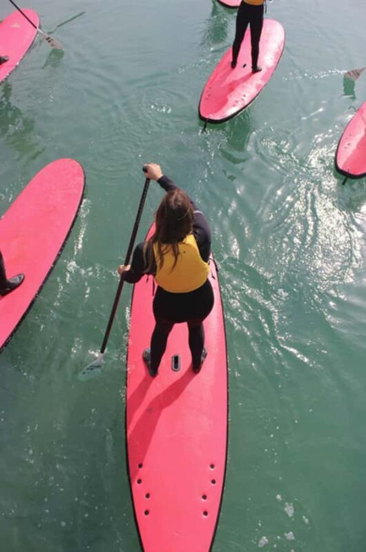 Anglesea: Stand-Up Paddleboard Lesson on the River - Who Should Consider This Tour?