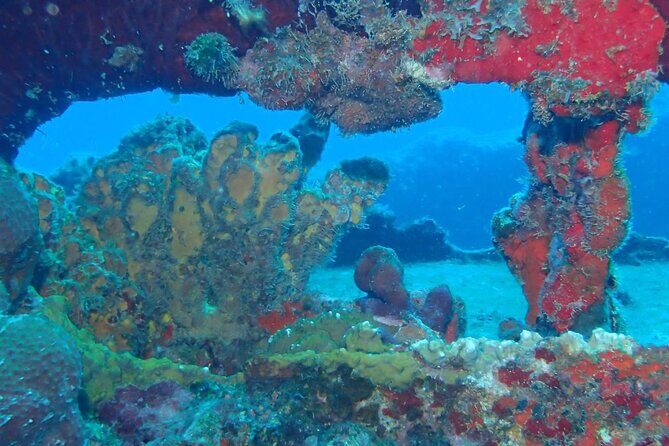 Anguilla Based: 2-Tank Group Dive Experience for Certified Divers - Final Thoughts