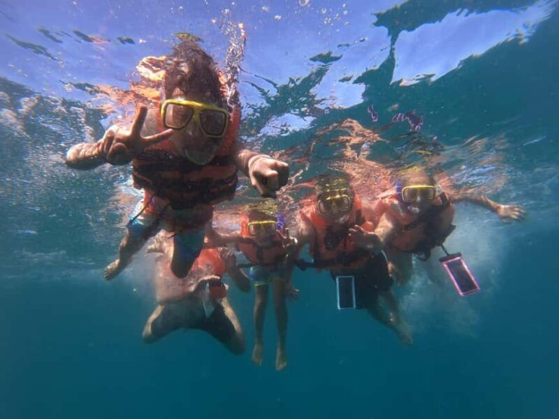 Animas colomitos snorkeling all inclusive - Authentic Voices and Useful Insights