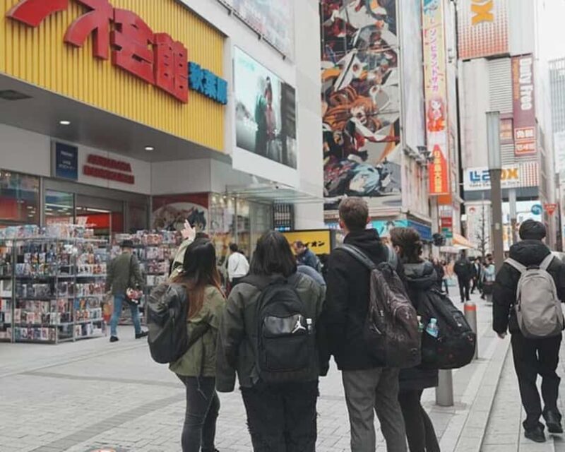 Anime & Manga Lovers Akihabara Tour Private Tour - Key Points