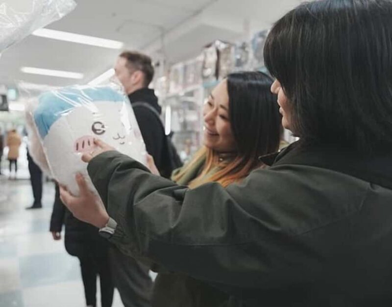 Anime & Manga Lovers Akihabara Tour Private Tour - Hidden Gems and Pilgrimage Spots