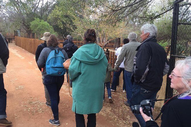 Ann Van Dyk Cheetah Centre Half-Day Tour from Johannesburg - The Logistics and Value