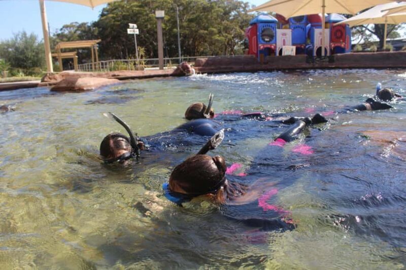 Anna Bay: Irukandji Entry + Coastal Currents Snorkel - What You Can Expect from the Snorkel Experience