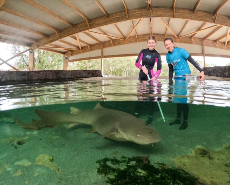 Anna Bay: Irukandji Entry Pass with Reef Shark Encounter - Key Points