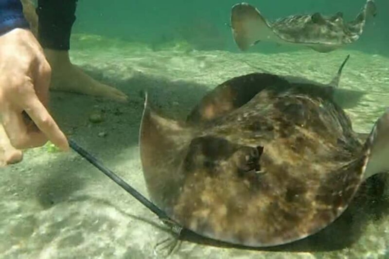 Anna Bay: Irukandji Entry Pass with Reef Shark Snorkel - Final Thoughts