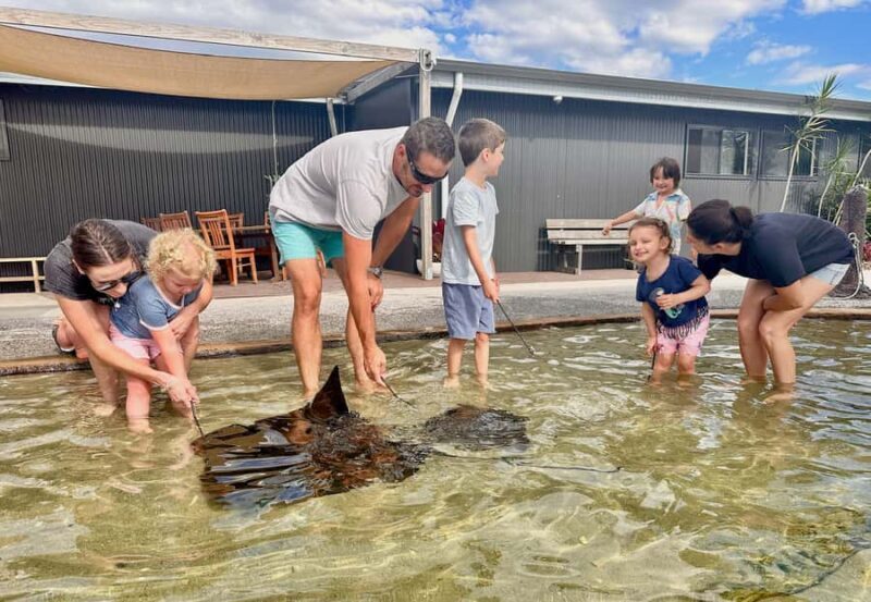 Anna Bay: Irukandji Entry Pass with Shallows Encounter - An Unexpected Close-Up with Marine Wildlife