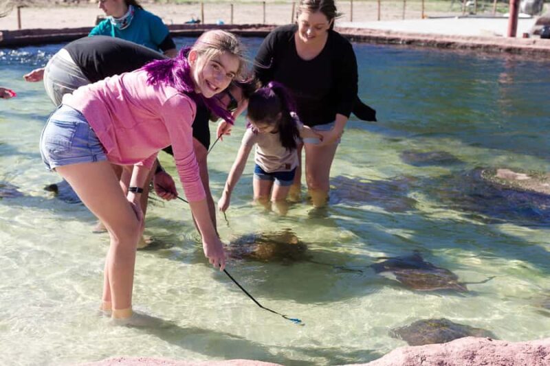 Anna Bay: Irukandji Entry Pass with Shallows Encounter - The Educational Element and Staff Expertise