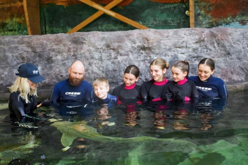 Anna Bay: Irukandji Entry Pass with Zebra Shark Encounter - Key Points