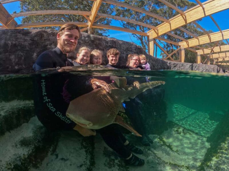 Anna Bay: Irukandji Entry Pass with Zebra Shark Encounter - Authentic Feedback & Real Experiences