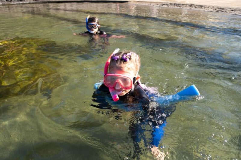 Anna Bay: Irukandji Entry with Zebra Shark Snorkel - What You Can Expect from This Tour