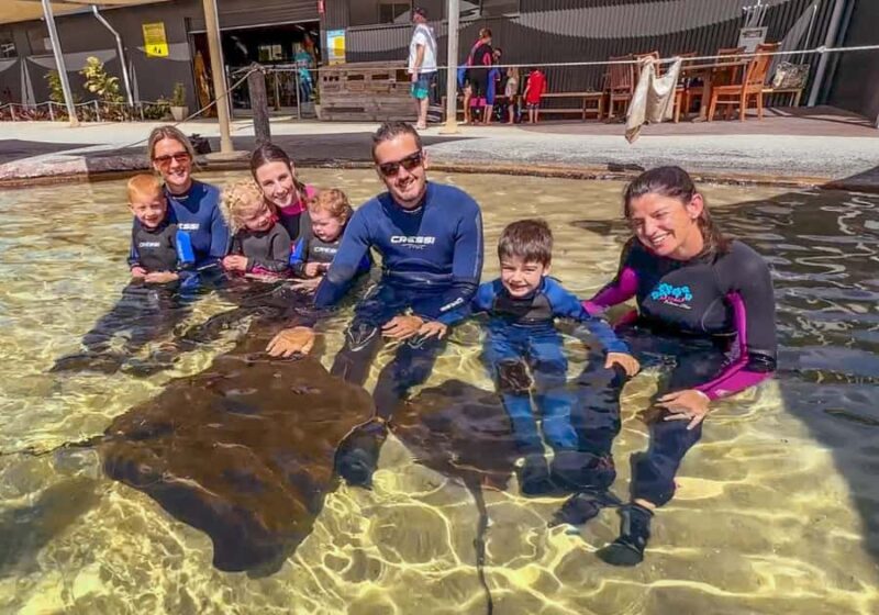 Anna Bay: Irukandji Entry with Zebra Shark Snorkel - Final Thoughts
