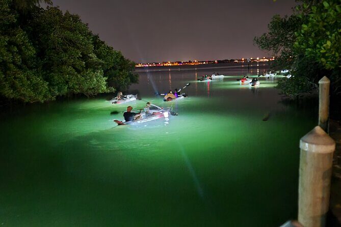 Anna Maria Island - Clear Kayak LED Night Glass Bottom Tour - Key Points