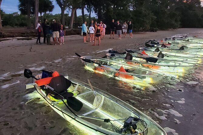Anna Maria Island - Clear Kayak LED Night Glass Bottom Tour - An In-Depth Look at the Experience