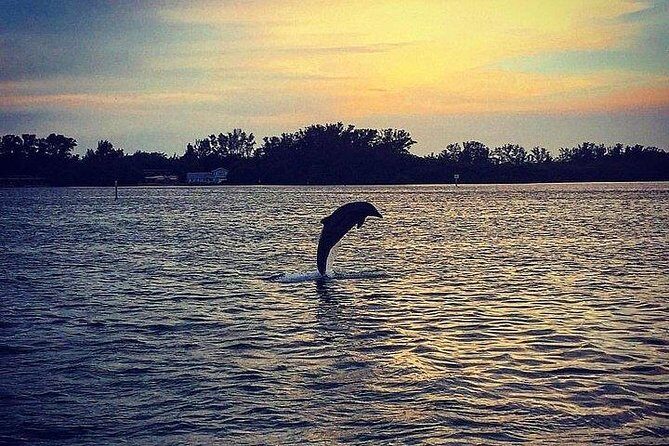 Anna Maria Island Dolphin Sunset Boat Tour - What to Expect from the Anna Maria Island Dolphin Sunset Boat Tour