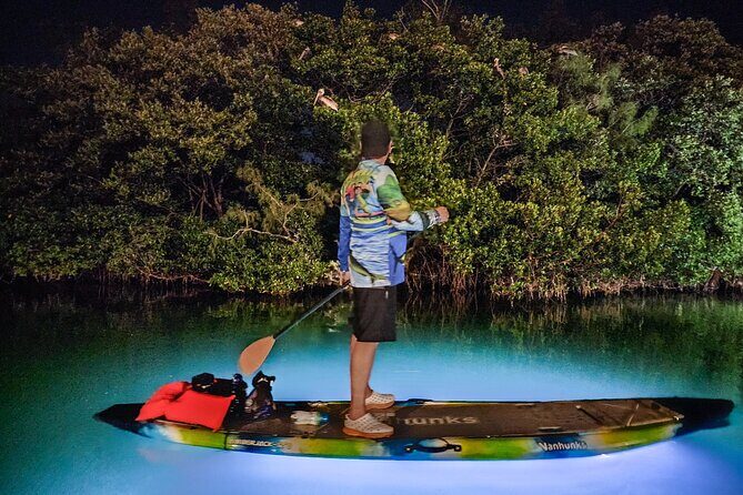 Anna Maria Island Paddleboard Tours - Key Points