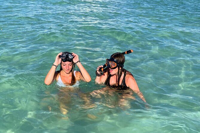 Anna Maria Island Private Sandbar Island Excursion - An Authentic Look at the Experience