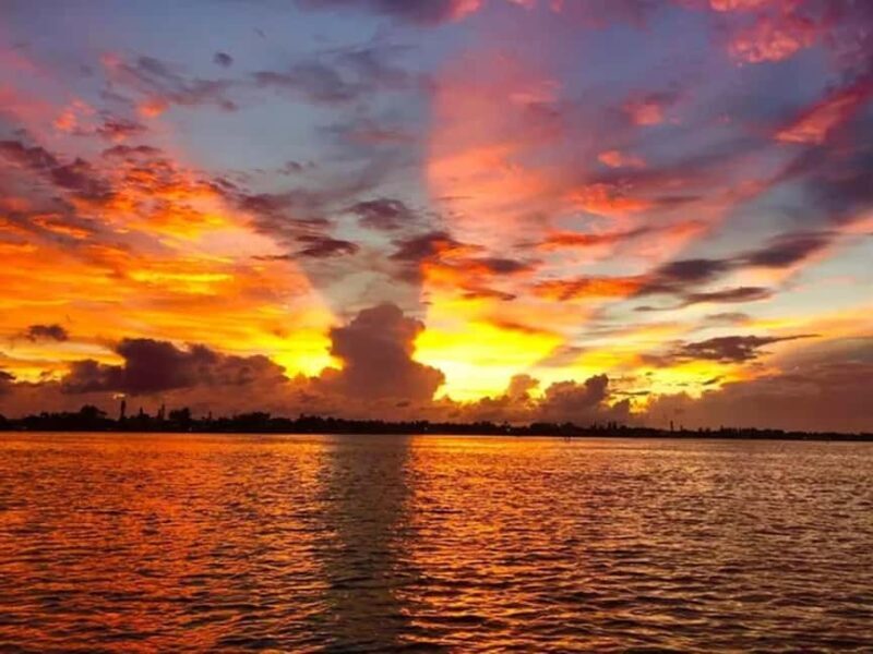 Anna Maria Island: Sunset Dolphin Cruise - What You Can Expect from the Sunset Dolphin Cruise