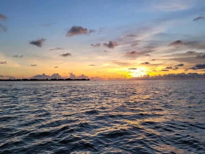 Anna Maria Island: Sunset Dolphin Cruise - Final Thoughts: Who Will Love This Experience?