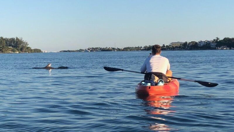 Anna Maria Island: The Island Kayak Tour - Who Will Enjoy This Tour?