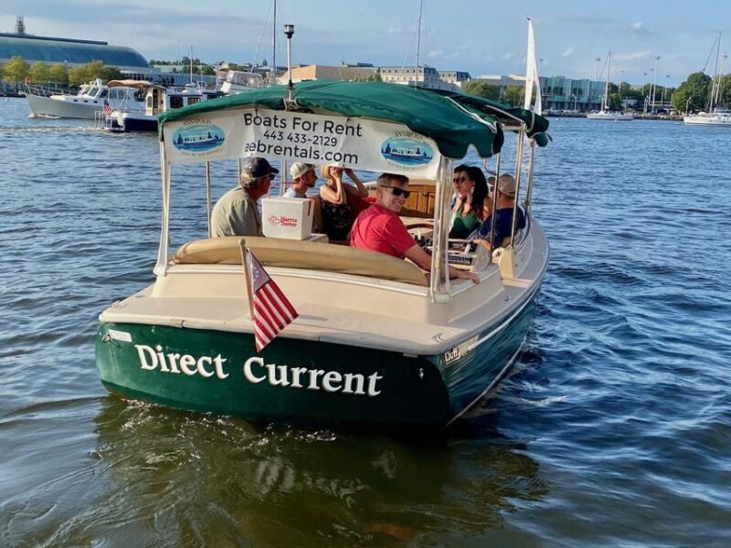 Annapolis: Electric Boat Rental - Duffy Sun Cruiser - 10ppl - Who Should Consider This Experience?
