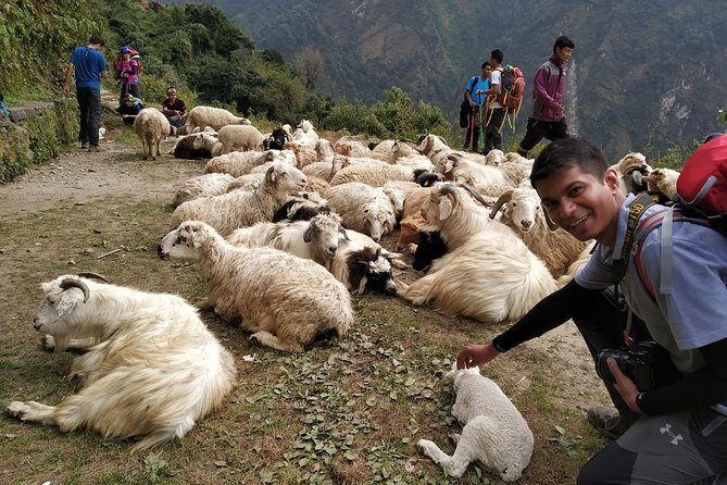Annapurna: 2 Days 1 Night Poon Hill Trekking - A Detailed Look at the Trekking Experience