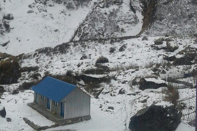 Annapurna base camp -9 days - Day 7: Return through the Valley