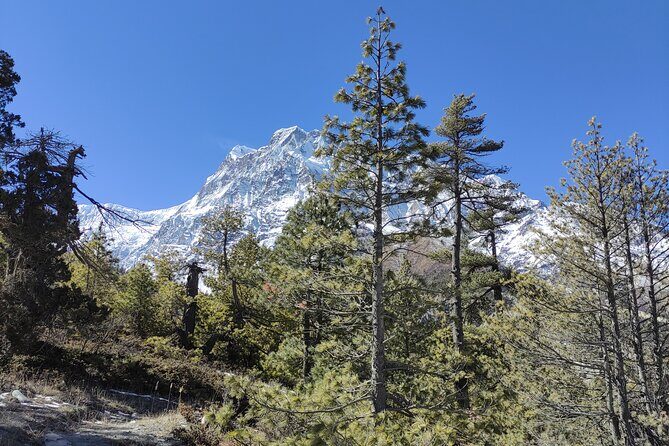Annapurna Base Camp Trek 10 Days - Key Points