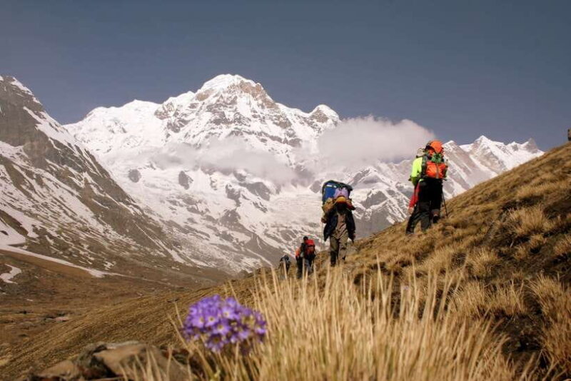Annapurna Base Camp Trek - An In-Depth Look at the Annapurna Base Camp Trek