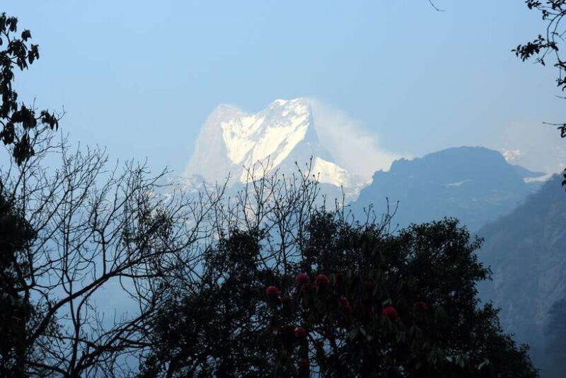 Annapurna Base Camp Trek - Final Thoughts