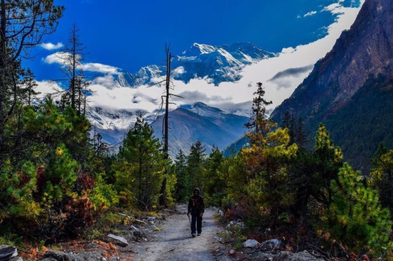 Annapurna Circuit Trek - 12 Days - Detailed Insights and Traveler Tips
