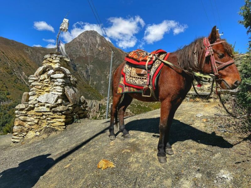 Annapurna Circuit Trek - 12 Days - Who Should Consider This Tour?
