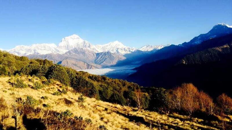 Annapurna Trek with Throng-la Pass - The Experience You’ll Take Home