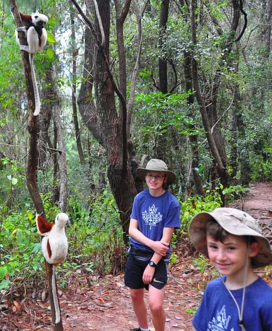 Antananarivo: Lemurs Park & City Tour - FAQ
