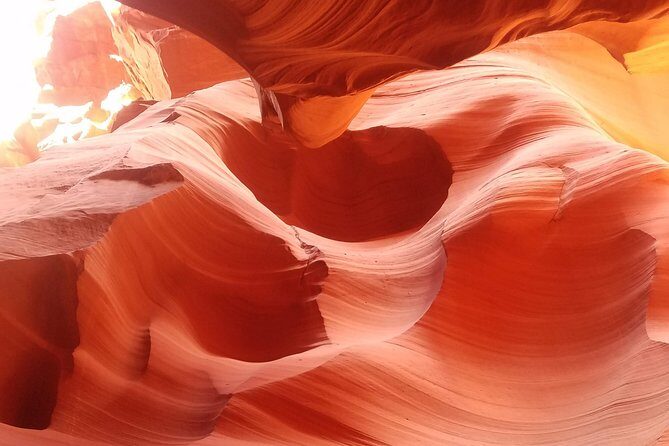 Antelope Canyon, Horseshoe Bend and Lake Powell Tour from Las Vegas - A Detailed Look at the Tour Experience