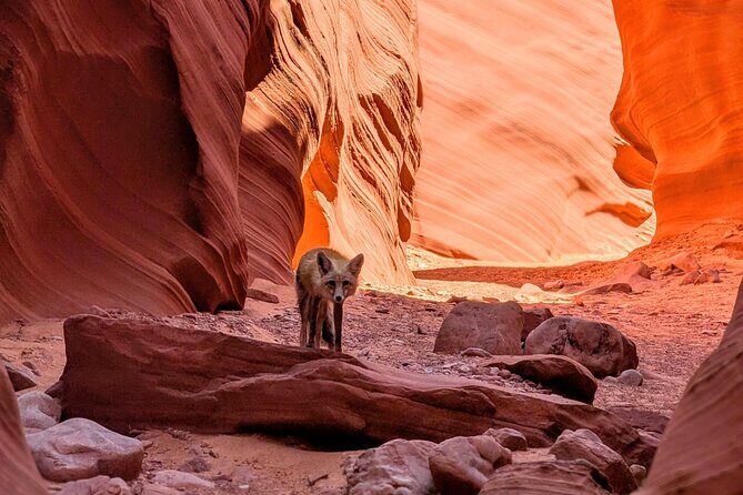 Antelope Canyon Kayak and Hike Slot Canyon - The Practical Side: Timing, Accessibility, and Value