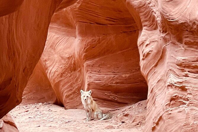 Antelope Canyon/Lake Powell Kayak Rentals: Self-Guided Adventures - The Value and Who It’s Best For