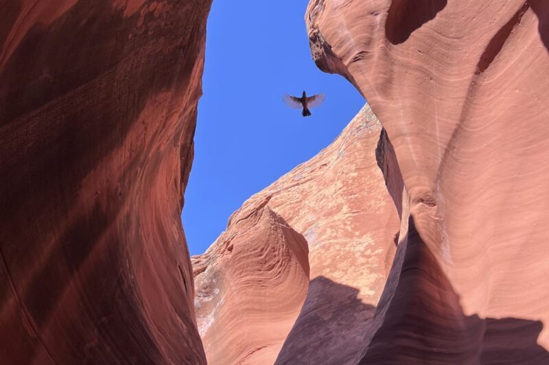 Antelope Canyon: Rattlesnake Canyon Tour - FAQ