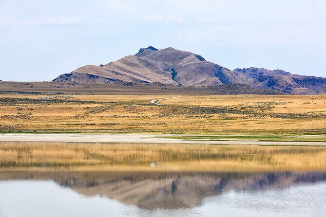 Antelope Island Wildlife Expedition Great Salt Lake Adventure - The Value of the Experience