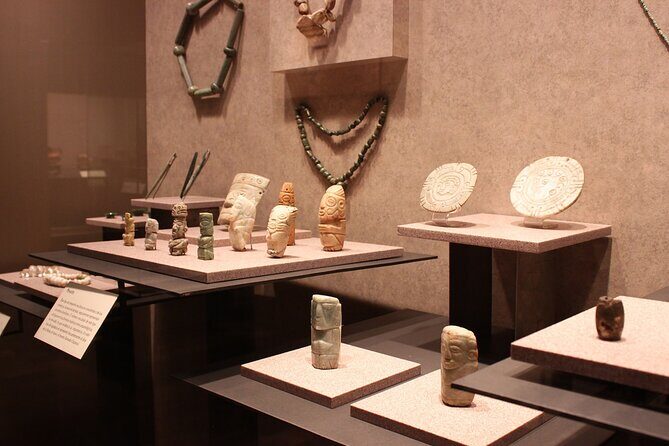 Anthropology Museum Early Access Tour - Authenticity and Review Insights