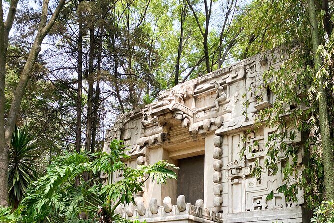 Anthropology Museum Early Access Tour - Why This Tour Is a Great Choice