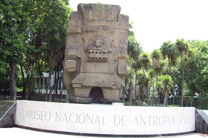 Anthropology Museum Private Experience Walking Tour - Why This Tour Stands Out