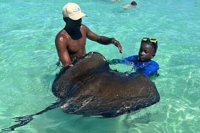 ANTIGUA FROM TOP TO BOTTOM: Stingray City, Beach, lunch & more... - An Introduction to the Antigua from Top to Bottom Tour