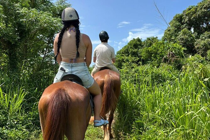 Antigua Horse Ride and Swim - Key Points
