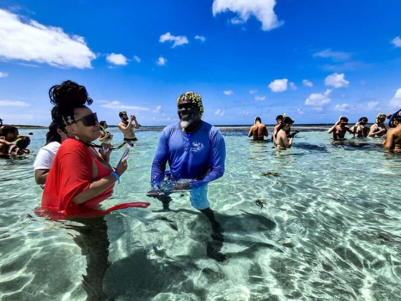 Antigua: Stingray City Experience with Round-Trip Transfer - What Travelers Love