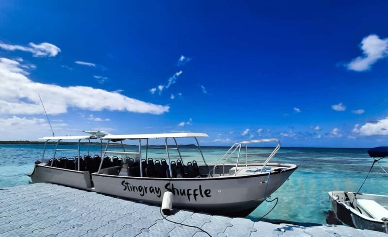 Antigua: Stingray City Experience with Round-Trip Transfer - The Sum Up