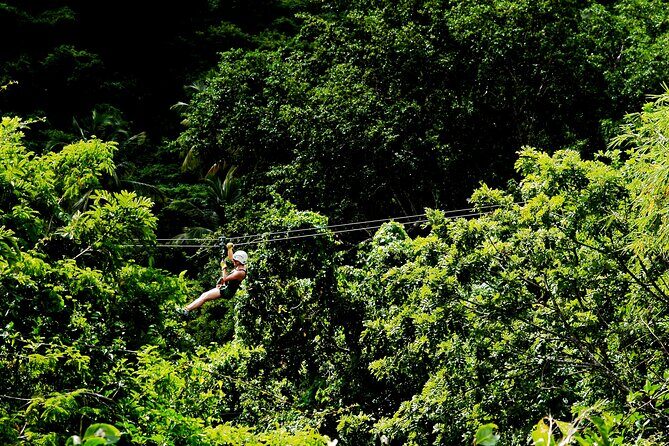 Antigua Zipline Canopy Adventure from St Johns - The Sum Up: Who Will Love This Tour?