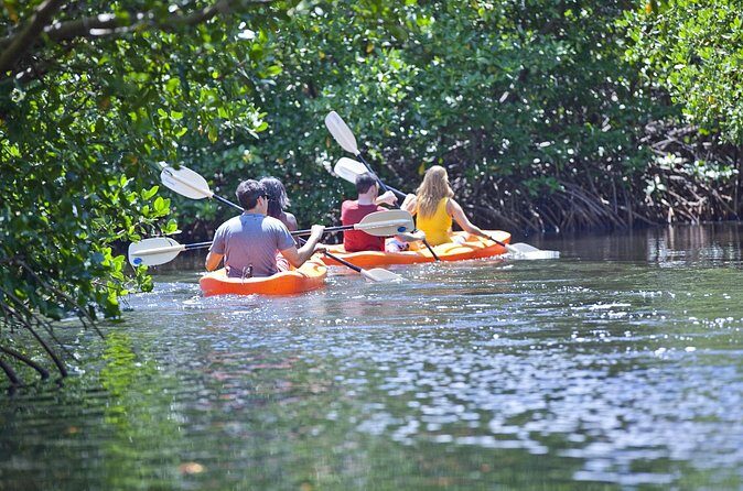Antigua Zipline & Kayaking Combo From St. John's - Practical Tips for Travelers