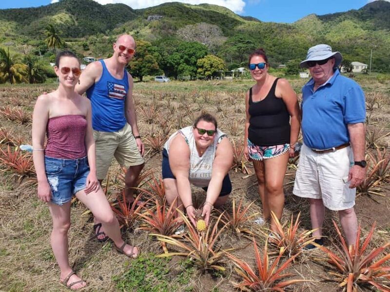 Antiguan experience home tour with local guide with lunch - In-Depth Look at the Tour Itinerary