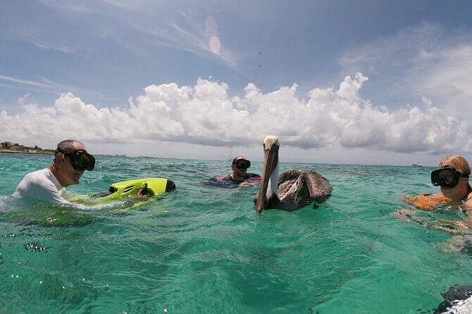 Antilla Shipwreck Seabob Tour - The Value for Money