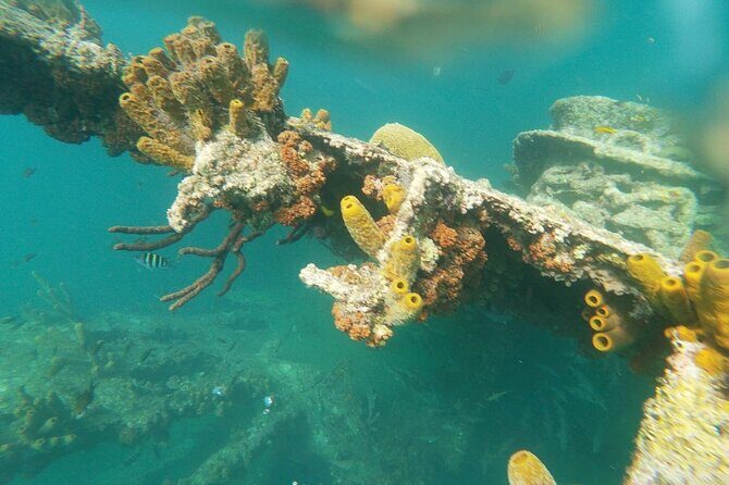 Antilla Shipwreck Seabob Tour - Authentic Reviews: What Travelers Say